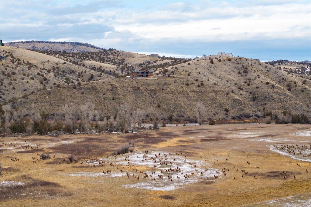 499 Saddle Ridge Road, Manhattan, MT 59741 photo 60