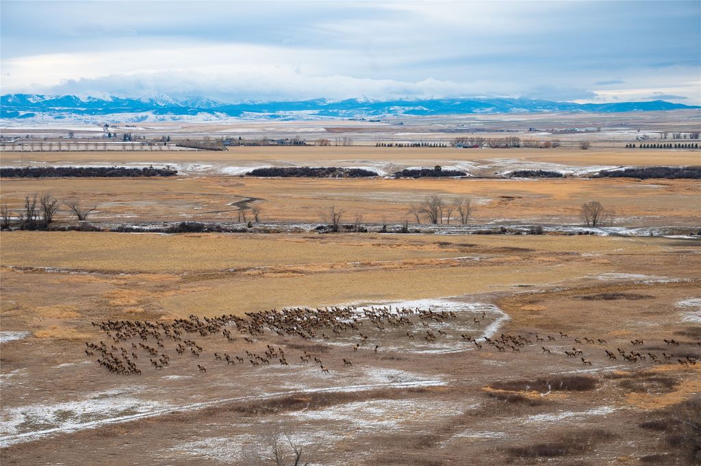 499 Saddle Ridge Road, Manhattan, MT 59741 photo 67