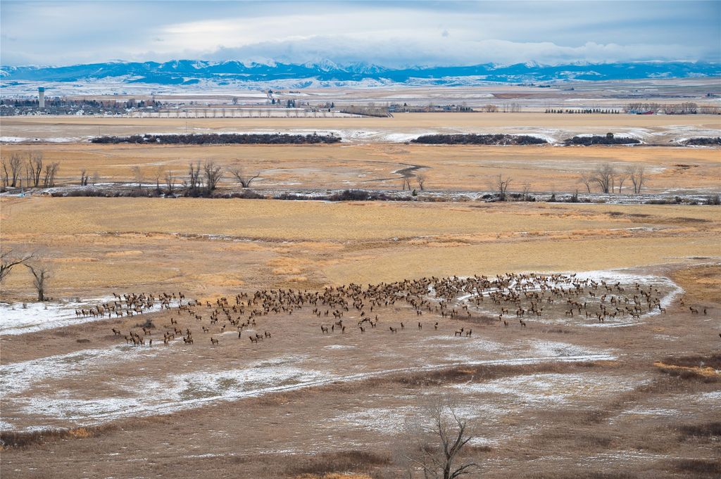 499 Saddle Ridge Road, Manhattan, MT 59741 photo 68