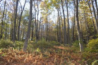 00 Route 171 Lot 1, Woodstock, CT 06281