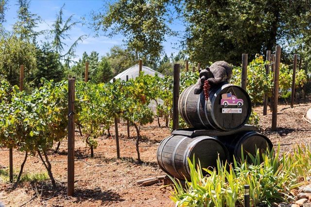 16354 Alexandra Way, Grass Valley, CA 95949