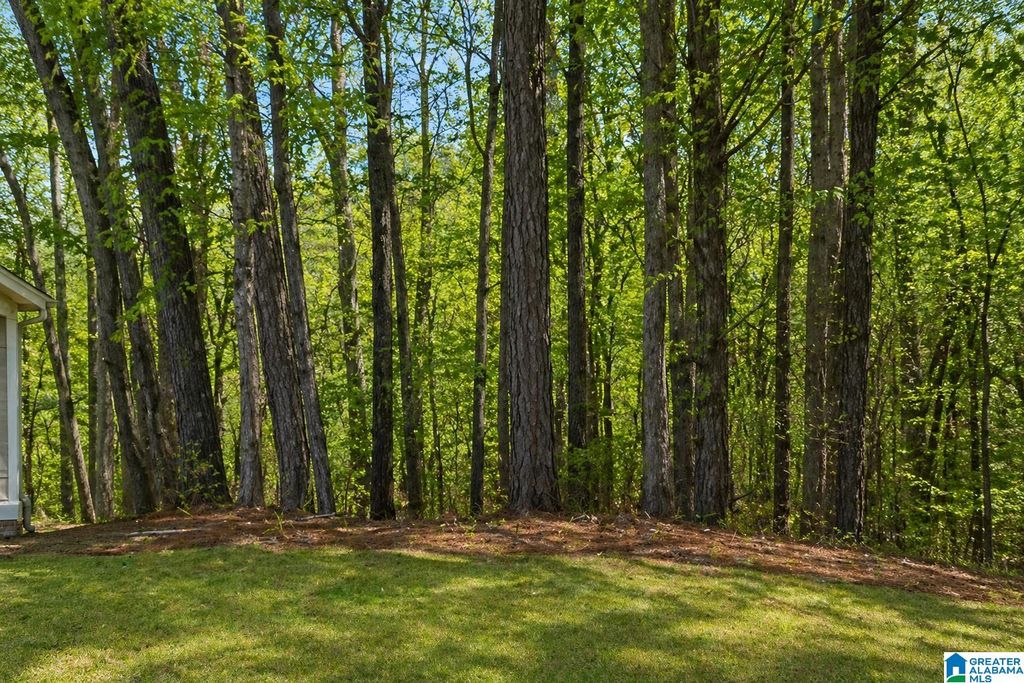 1029 LONG BRANCH PARKWAY, Calera, AL 35040