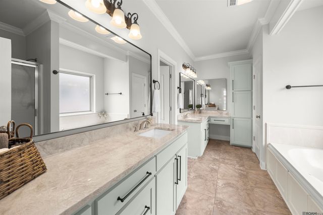 41133 Clearwater Ave, Gonzales, LA 70737