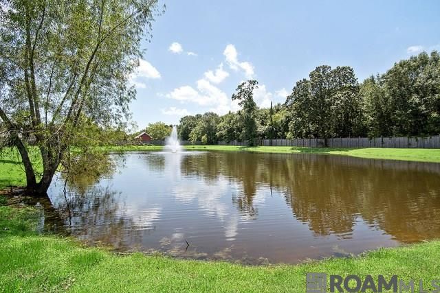 41133 Clearwater Ave, Gonzales, LA 70737