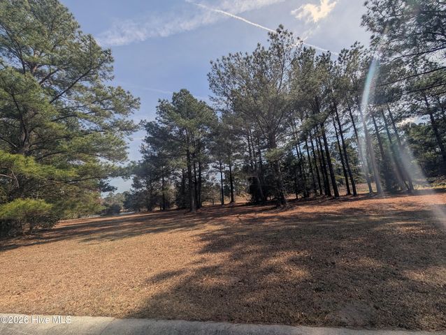 117 Cedar Point Drive, Wallace, NC 28466