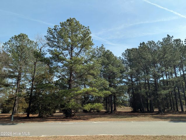 117 Cedar Point Drive, Wallace, NC 28466