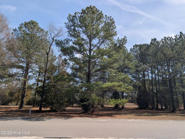 117 Cedar Point Drive, Wallace, NC 28466