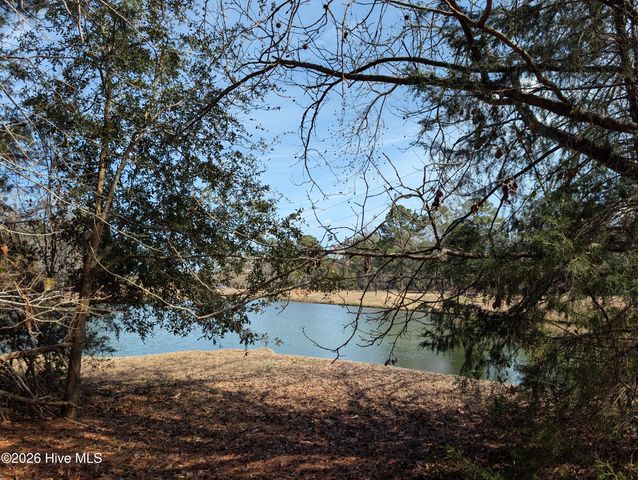 117 Cedar Point Drive, Wallace, NC 28466