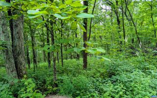 224 CEDAR DR, Roseland, VA 22958