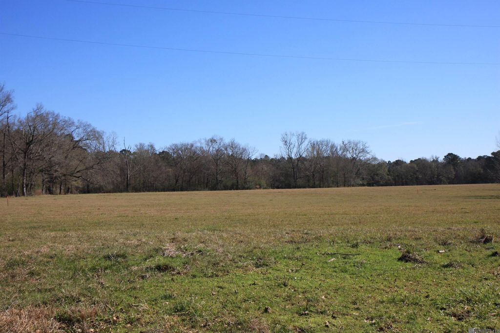 TBD Lot 2 La Hwy 958, Slaughter, LA 70777