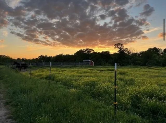E McNelly Road, Bentonville, AR 72712