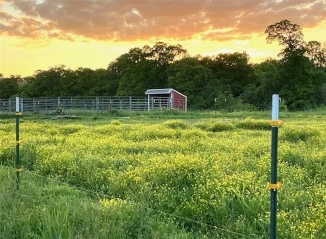 E McNelly Road, Bentonville, AR 72712