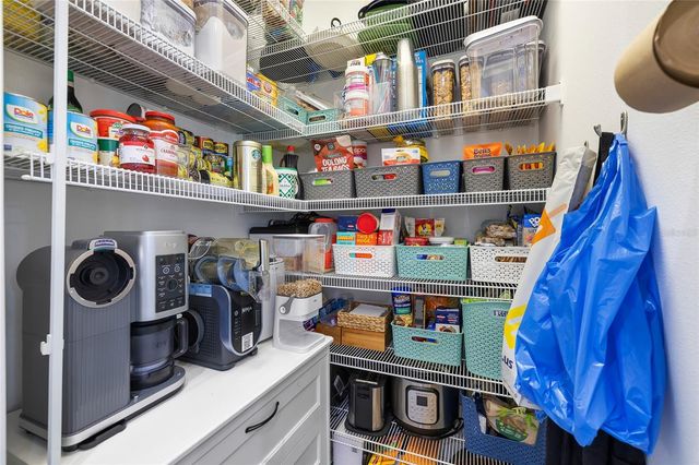 16109 TERNGLADE DRIVE, Lithia, FL 33547