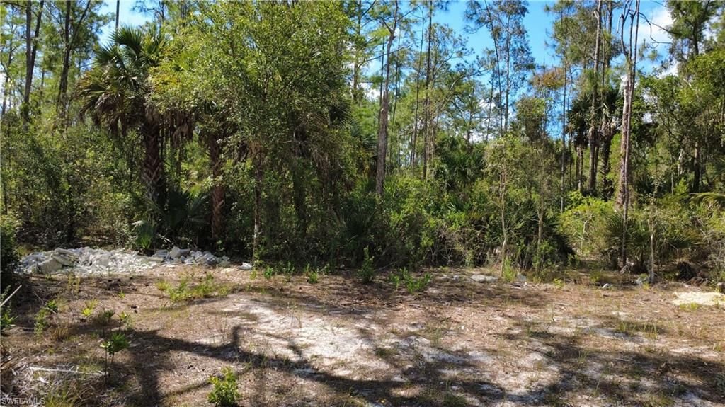 267 Woodburn DR, LEHIGH ACRES, FL 33972 — photo 2