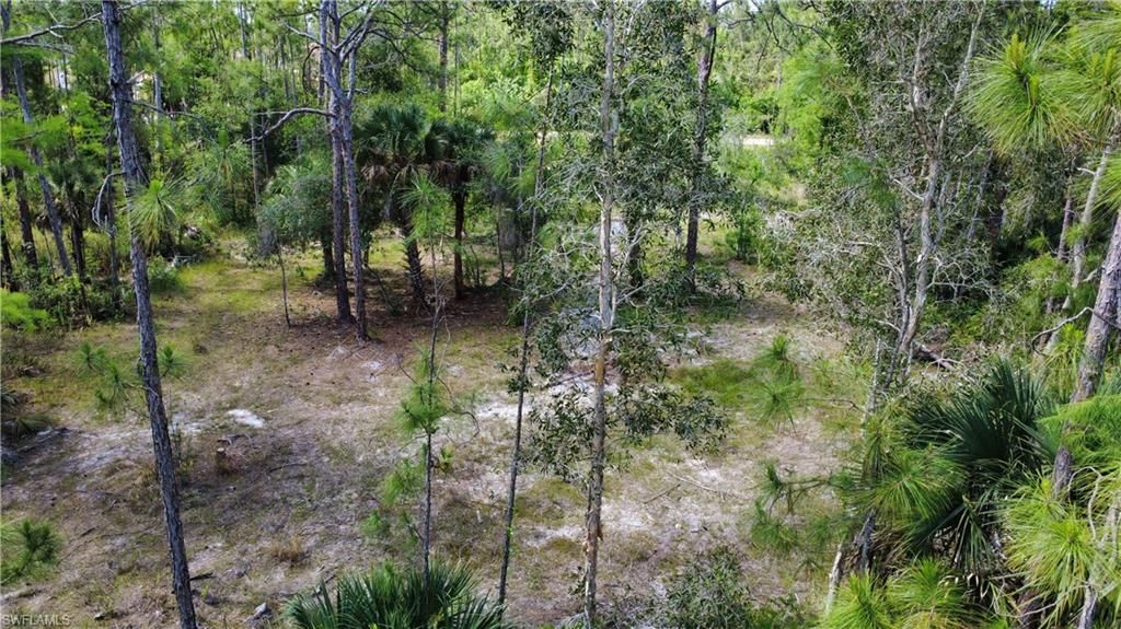 267 Woodburn DR, LEHIGH ACRES, FL 33972 — photo 3