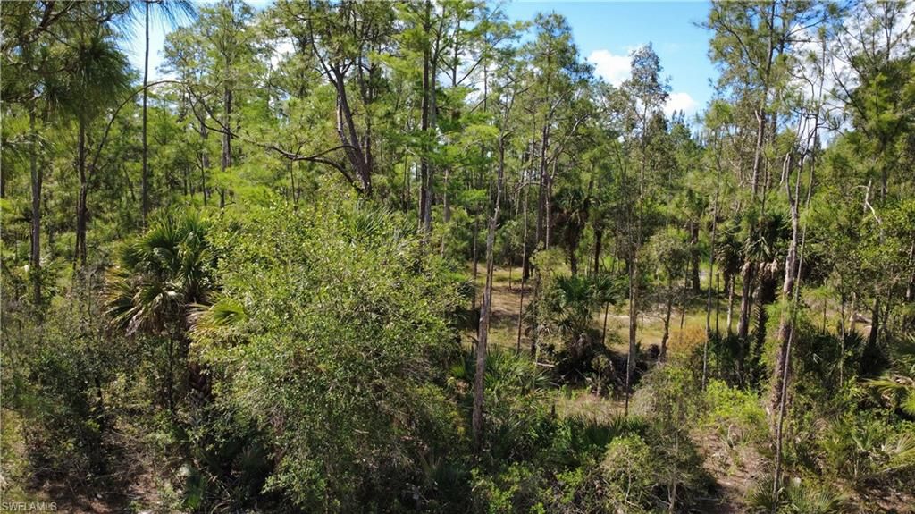 267 Woodburn DR, LEHIGH ACRES, FL 33972 — photo 4