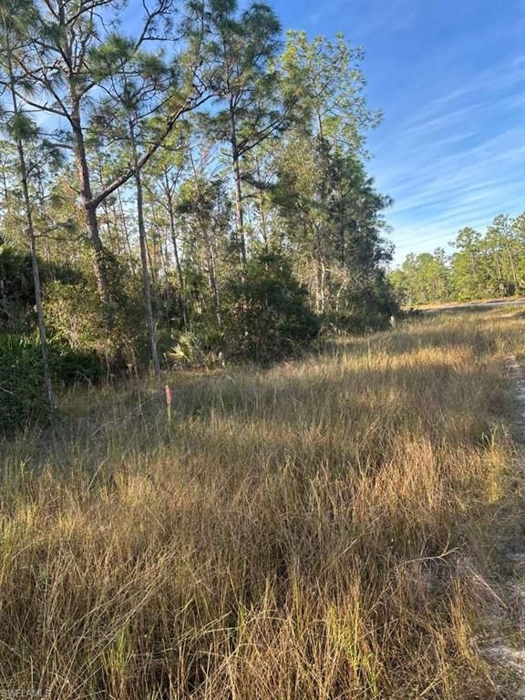 267 Woodburn DR, LEHIGH ACRES, FL 33972 — photo 5