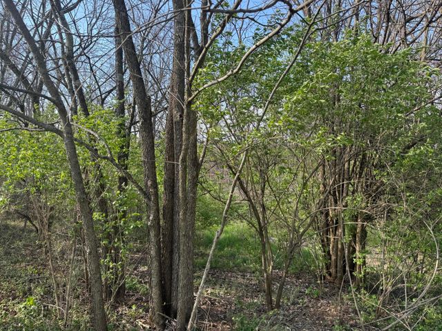 3859 Millersburg Ruddles Mill Road, Paris, KY 40361