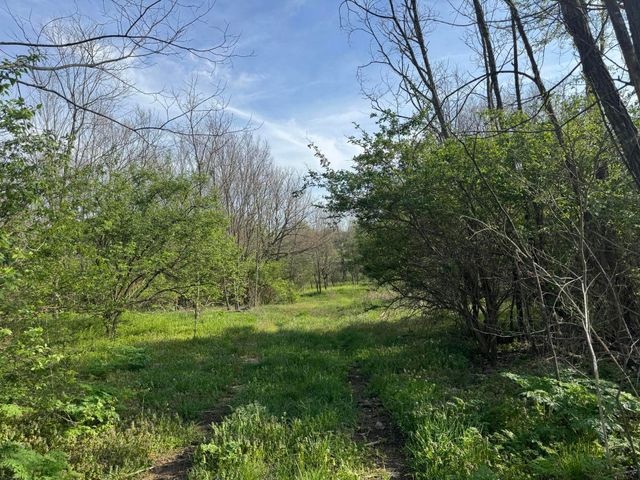 3859 Millersburg Ruddles Mill Road, Paris, KY 40361