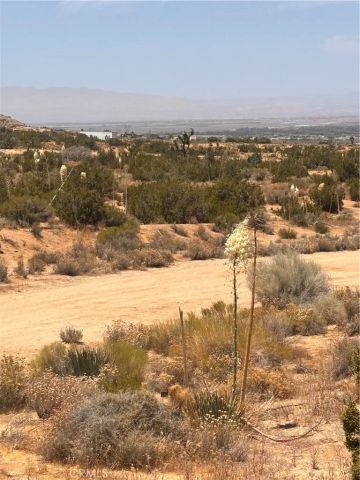0 126th, Pearblossom, CA 93553