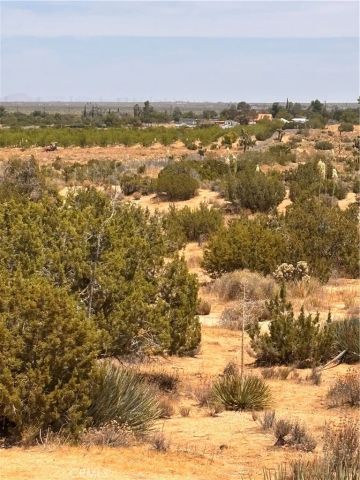 0 126th, Pearblossom, CA 93553