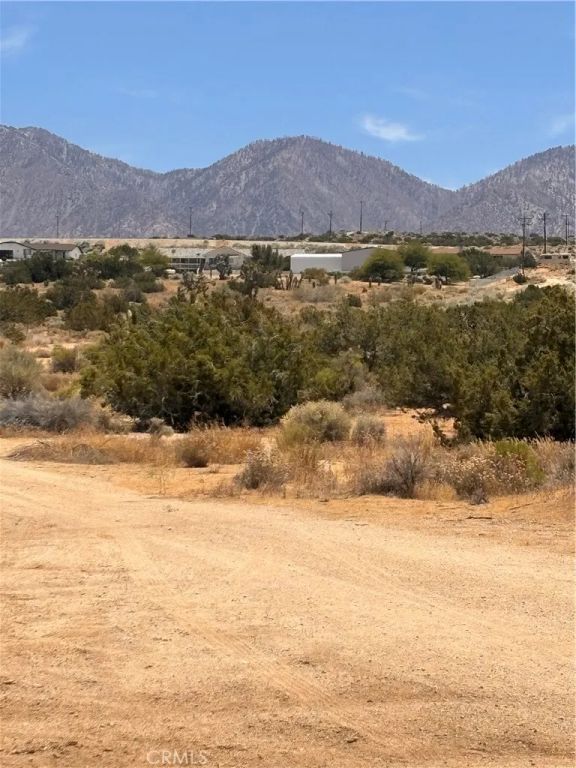 0 126th, Pearblossom, CA 93553