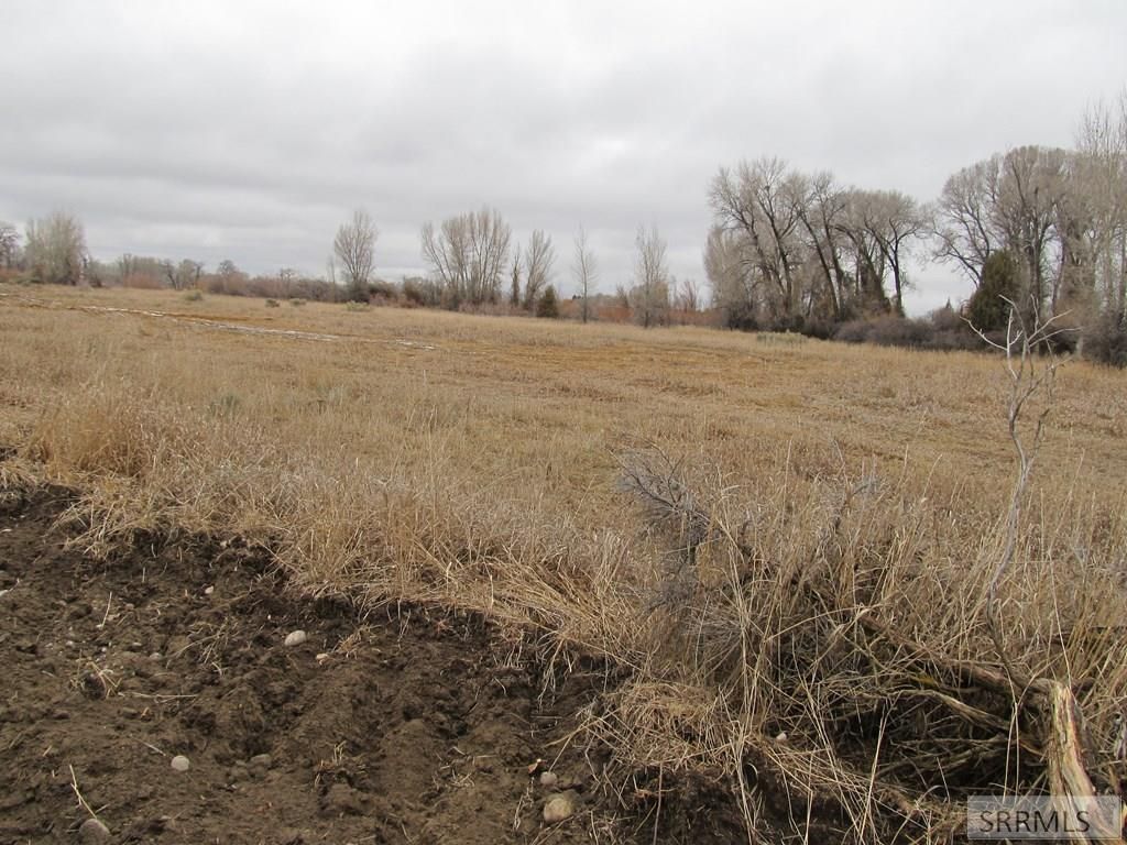 Image 4 of property listing at 4617 E 200 N, Rigby, ID 83442