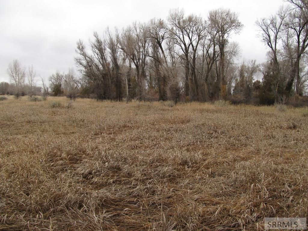 Image 7 of property listing at 4617 E 200 N, Rigby, ID 83442