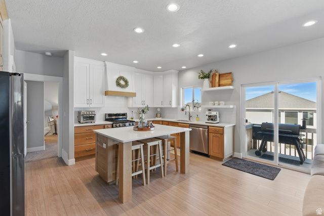 1147 N CARRIAGE LN, Spanish Fork, UT 84660