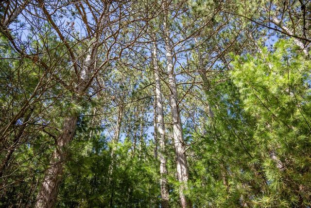 W6068 N Lake Drive, New Lisbon, WI 53950