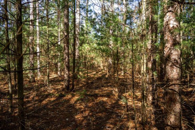 W6068 N Lake Drive, New Lisbon, WI 53950