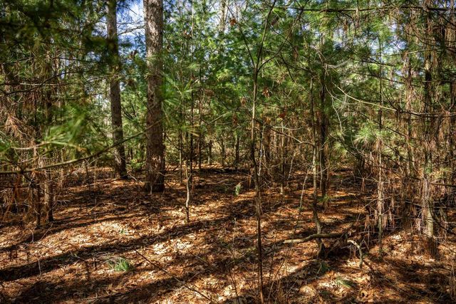 W6068 N Lake Drive, New Lisbon, WI 53950