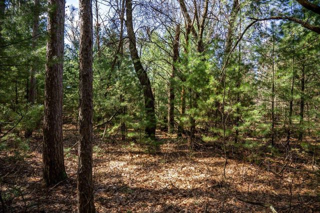 W6068 N Lake Drive, New Lisbon, WI 53950