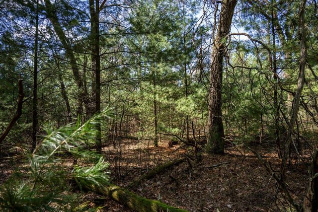W6068 N Lake Drive, New Lisbon, WI 53950