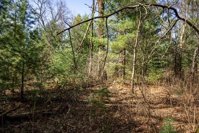 W6068 N Lake Drive, New Lisbon, WI 53950