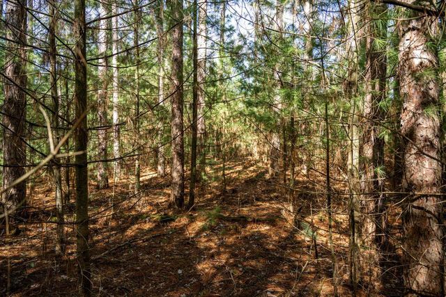 W6068 N Lake Drive, New Lisbon, WI 53950