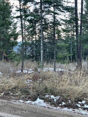 NKA PALOMINO DR 10 ACRES, Coeur D'alene, ID 83814