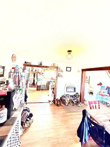 415 Saline St, Fredericktown, MO 63645