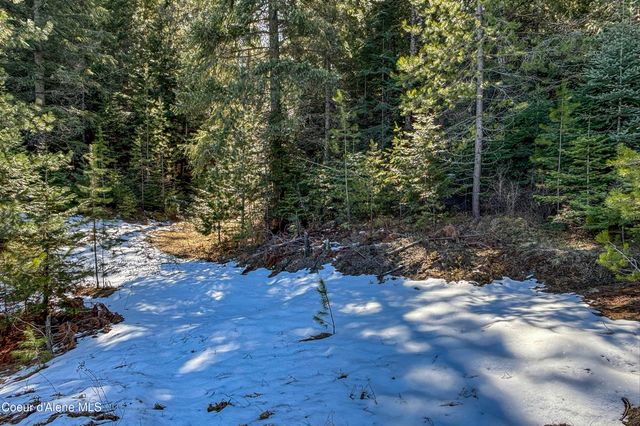 533 Artisan WAY, Sandpoint, ID 83864