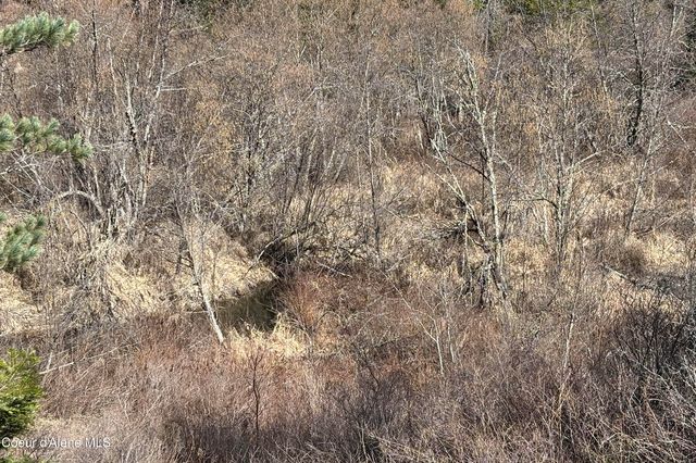 533 Artisan WAY, Sandpoint, ID 83864