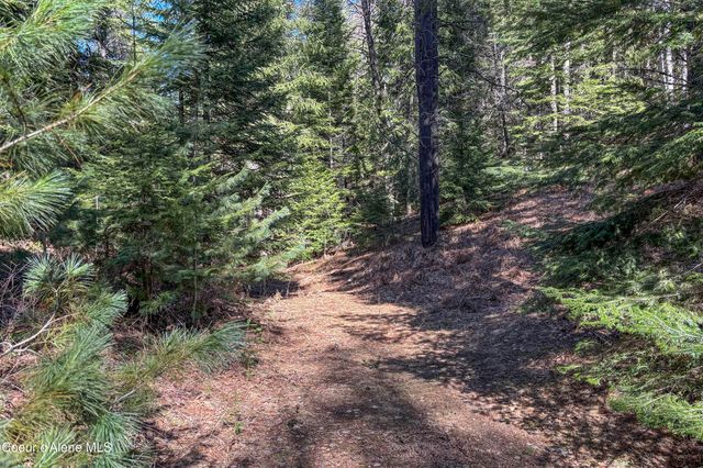 533 Artisan WAY, Sandpoint, ID 83864