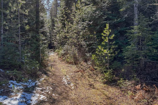 533 Artisan WAY, Sandpoint, ID 83864