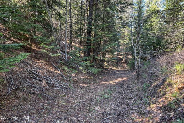 533 Artisan WAY, Sandpoint, ID 83864