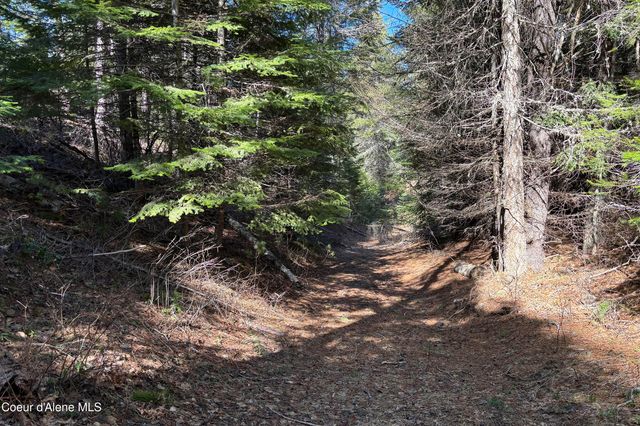 533 Artisan WAY, Sandpoint, ID 83864