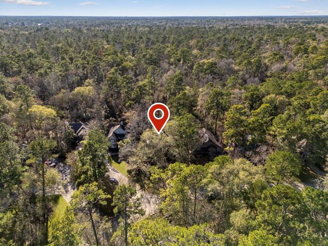 98 S Wilde Yaupon Court, Spring, TX 77381