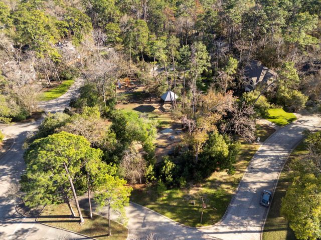 98 S Wilde Yaupon Court, Spring, TX 77381