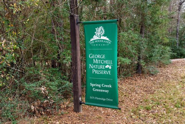 98 S Wilde Yaupon Court, Spring, TX 77381