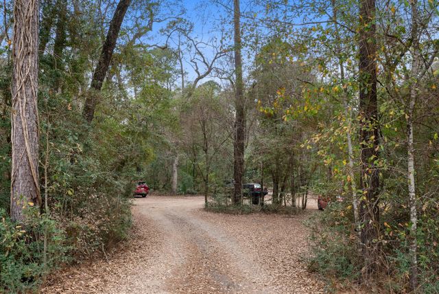 98 S Wilde Yaupon Court, Spring, TX 77381