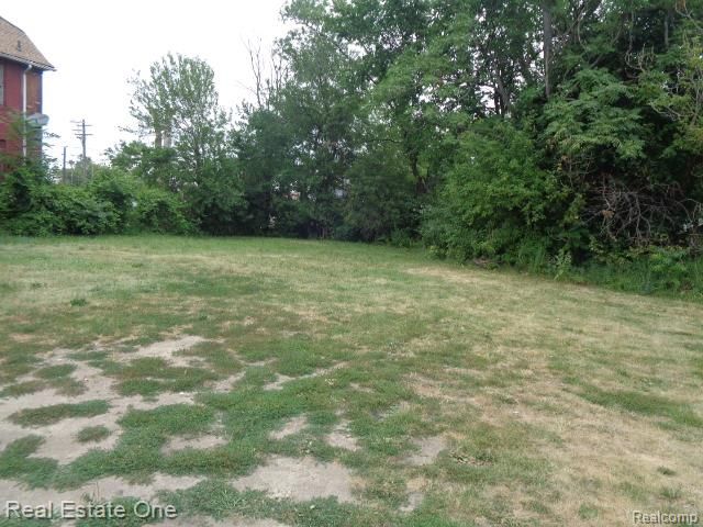 6214 Rosa Parks Boulevard, Detroit, MI 48208