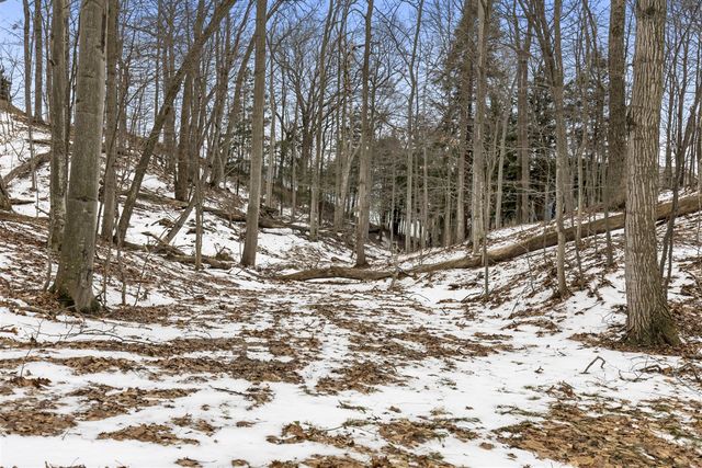 3151 Crystal Drive, Beulah, MI 49617